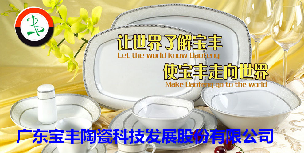 廣東寶豐陶瓷科技發展股份有限公司成立于2003年，占地總面積5萬平方米，建筑面積3萬平方米，2004年10月建成投產?，F擁有兩條先進遂道窯生產線,主要生產中高檔日用陶瓷，產品遠銷歐美，東南亞等國家。