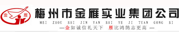 梅州市金雁實業集團公司是集有色金屬(銅)探、采、選、冶(計劃改造升級)、深加工為一體的市屬國有企業集團,是"廣東省企業100強"，梅州市委、市政府實施“開發礦業、發展銅業”戰略的重點企業和扶優扶強的八大企業集團之一。